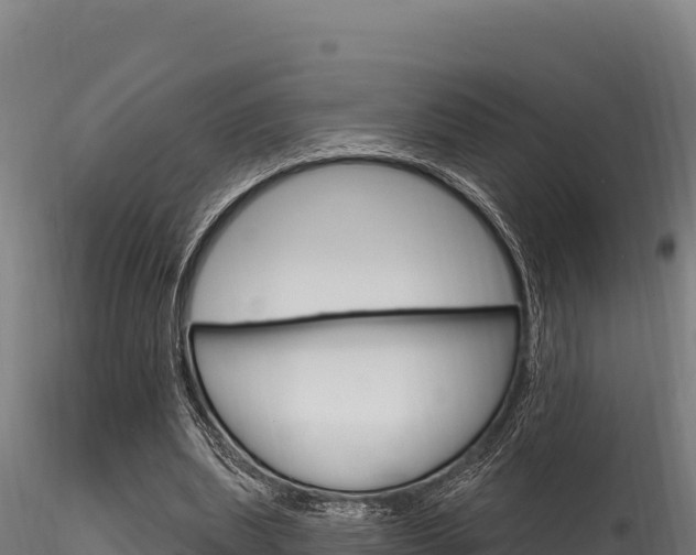X0000116280439200911301044
