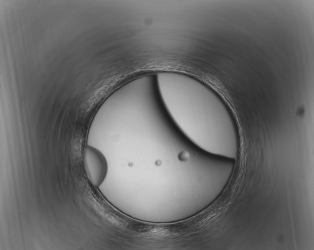X0000116280441200911301044