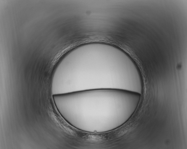 X0000116280442200911301044