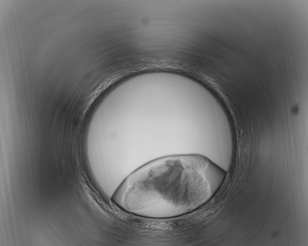 X0000116280443200911301044