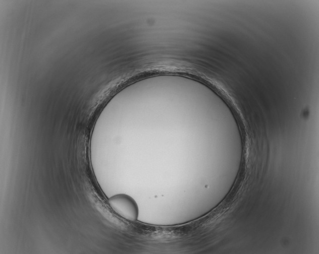 X0000116280445200911301044