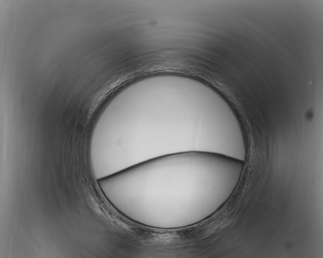 X0000116280446200911301044