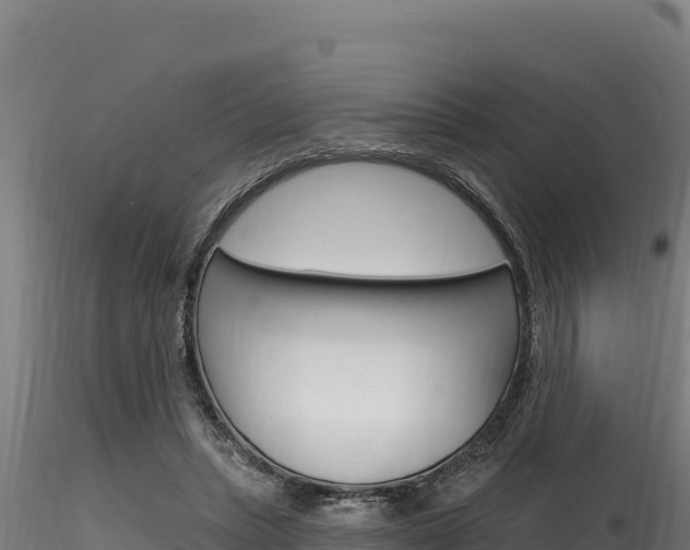 X0000116280447200911301044