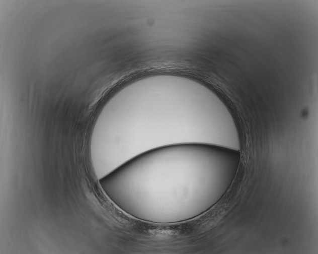 X0000116280448200911301044