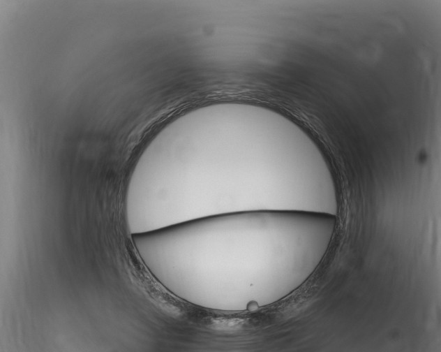 X0000116280450200911301044