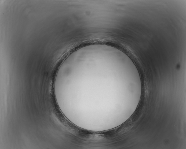 X0000116280451200911301044