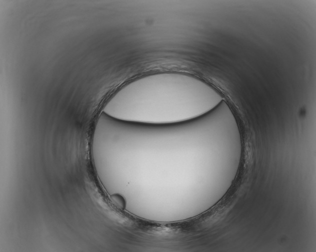 X0000116280453200911301045