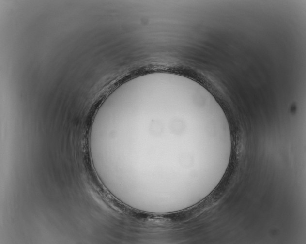 X0000116280455200911301045