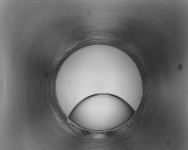 X0000116280456200911301045