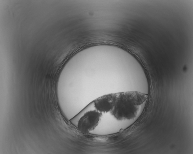 X0000116280457200911301045