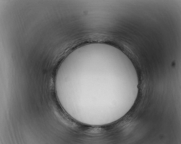 X0000116280459200911301045