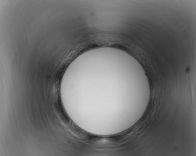 X0000116280460200911301045