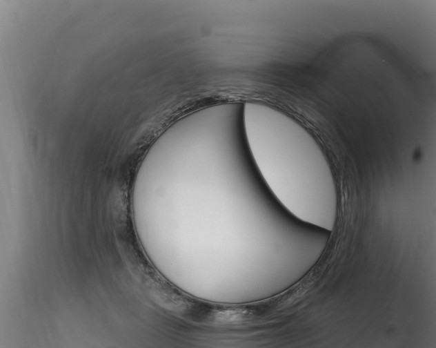 X0000116280461200911301045