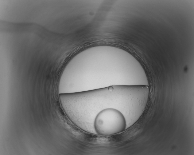 X0000116280462200911301045