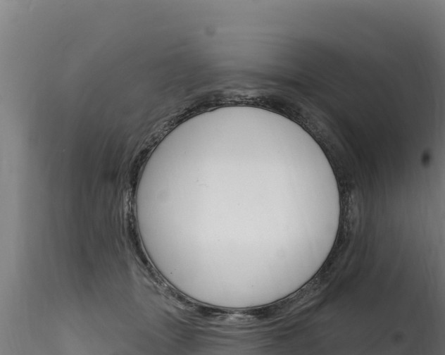 X0000116280463200911301045