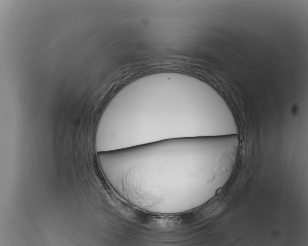 X0000116280466200911301045