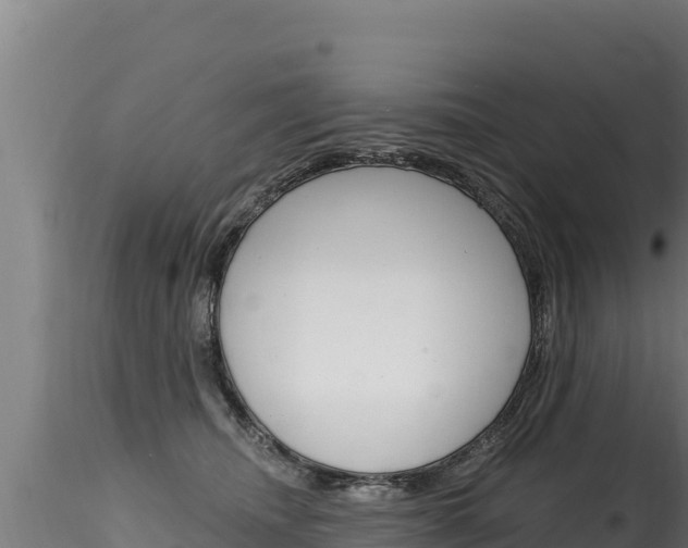 X0000116280468200911301045