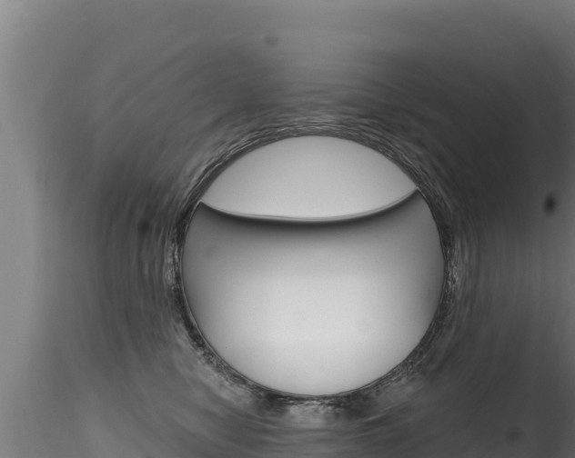 X0000116280470200911301045