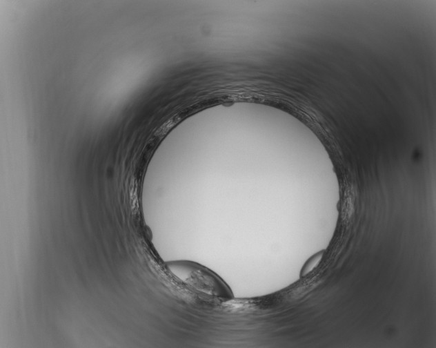 X0000116280477200911301045