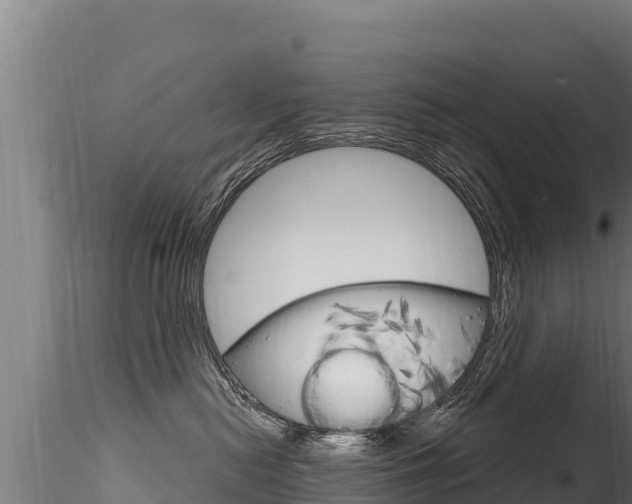 X0000116280478200911301045