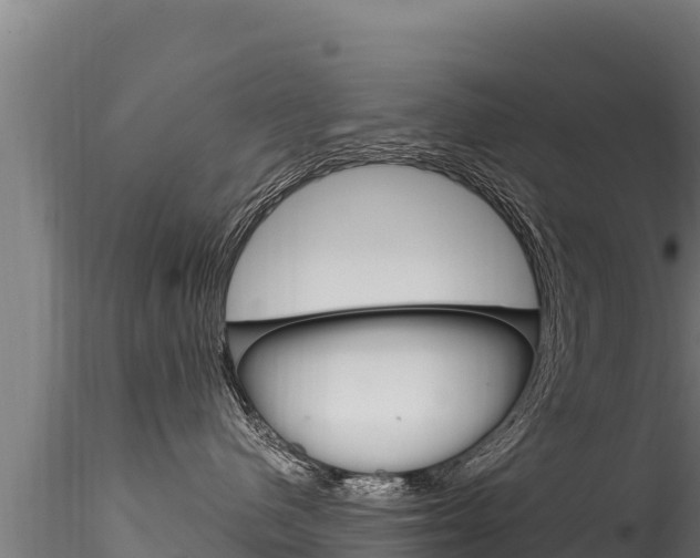 X0000116280480200911301045