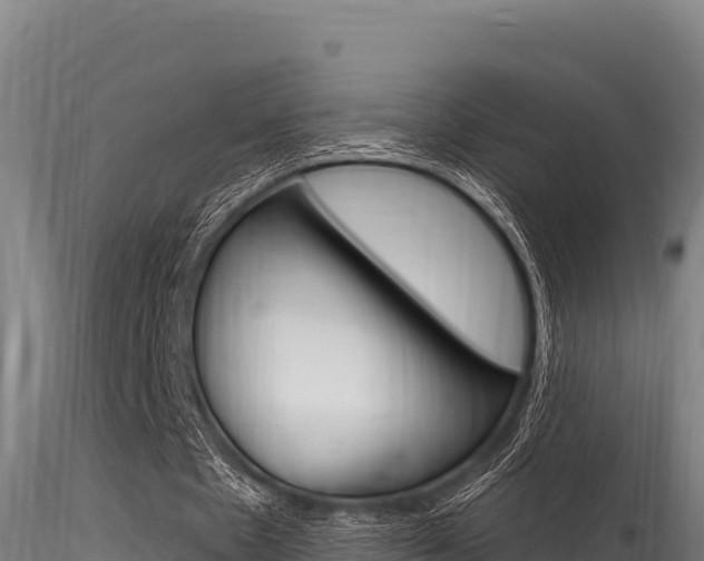 X0000116280481200911301044