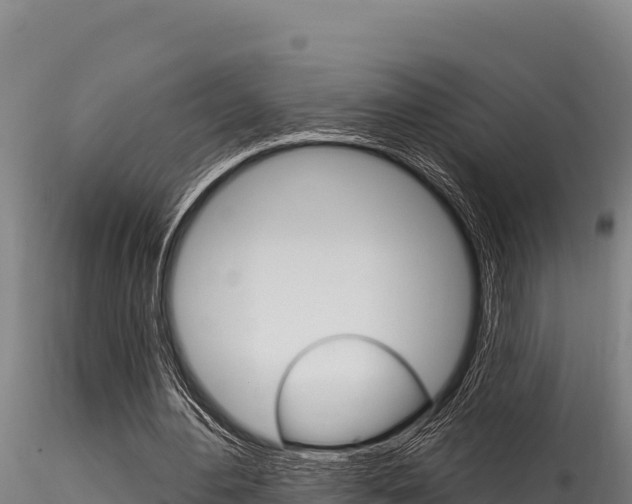 X0000116280484200911301044