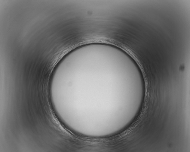 X0000116280485200911301044