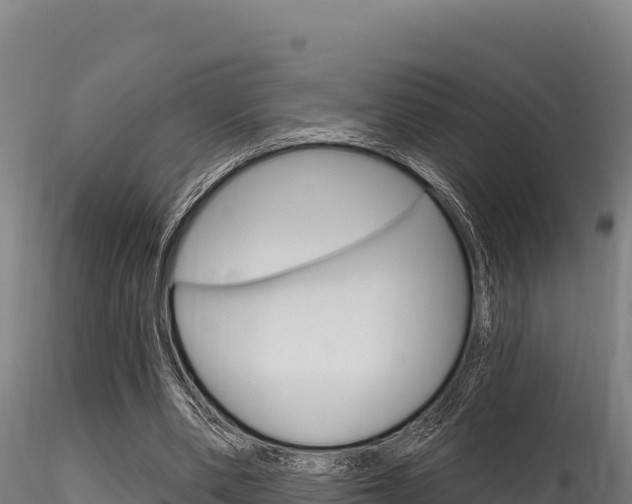 X0000116280486200911301044
