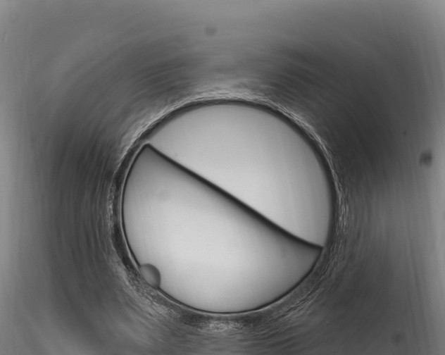 X0000116280487200911301044
