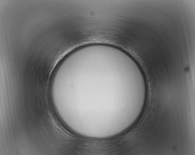 X0000116280488200911301044