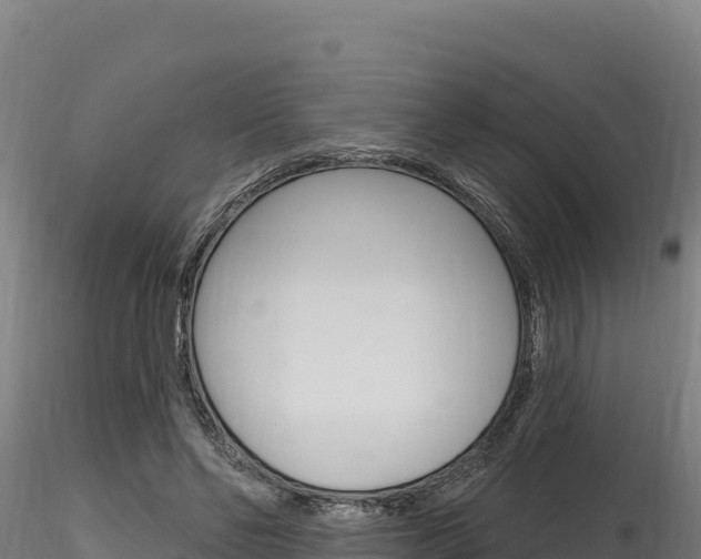 X0000116280494200911301044