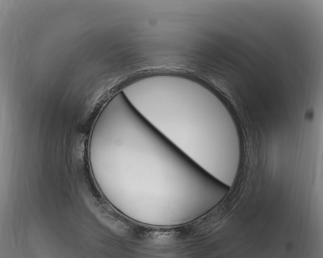 X0000116280495200911301044