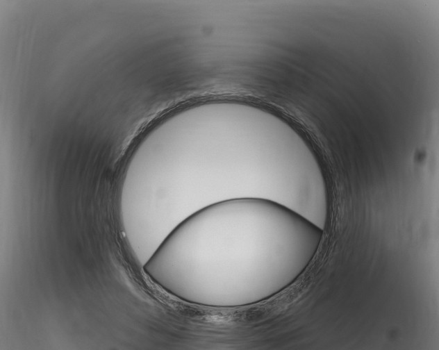 X0000116280496200911301044