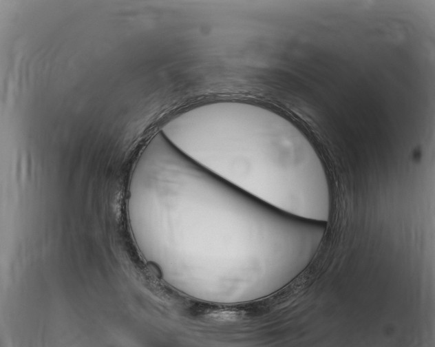 X0000116280499200911301044