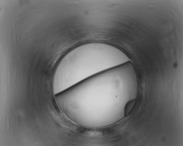 X0000116280500200911301044