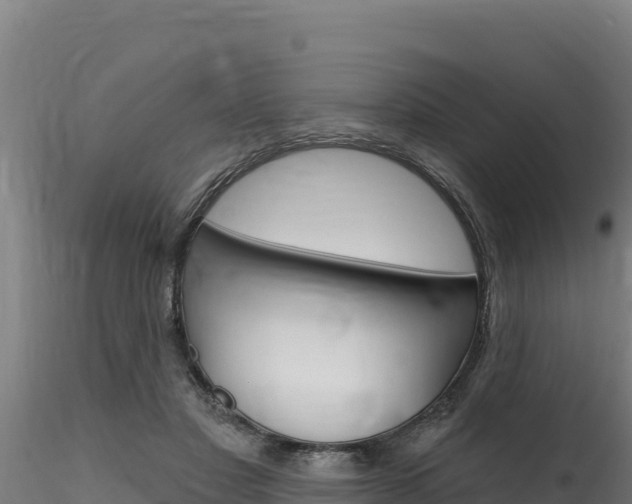 X0000116280501200911301044