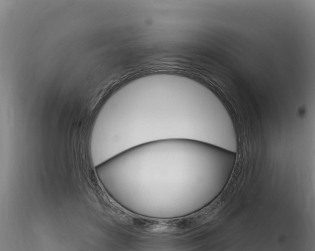 X0000116280504200911301044
