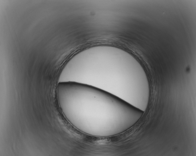 X0000116280505200911301044