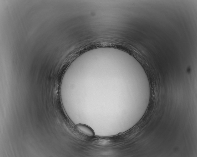 X0000116280507200911301044
