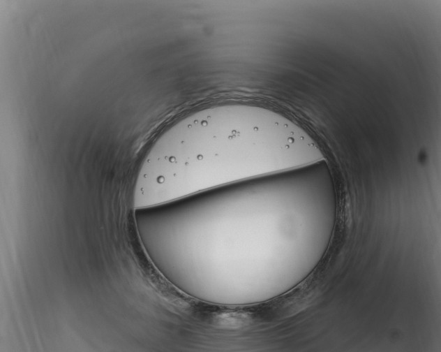 X0000116280508200911301044