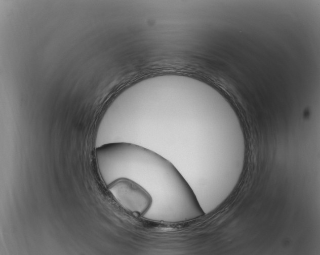 X0000116280509200911301044