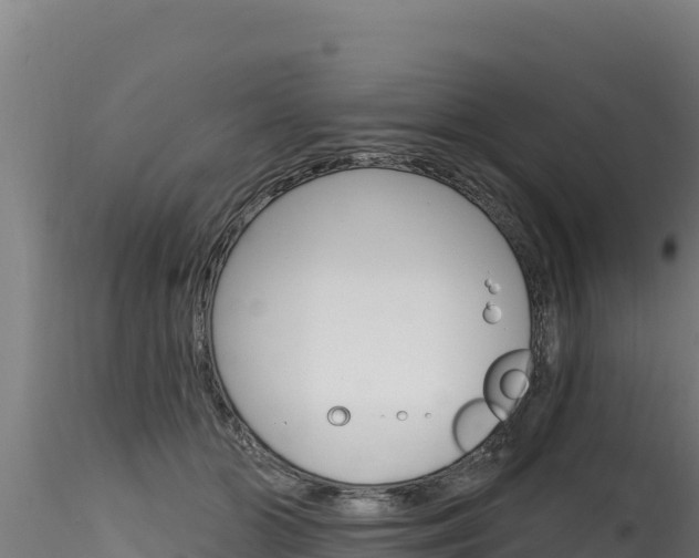 X0000116280510200911301044