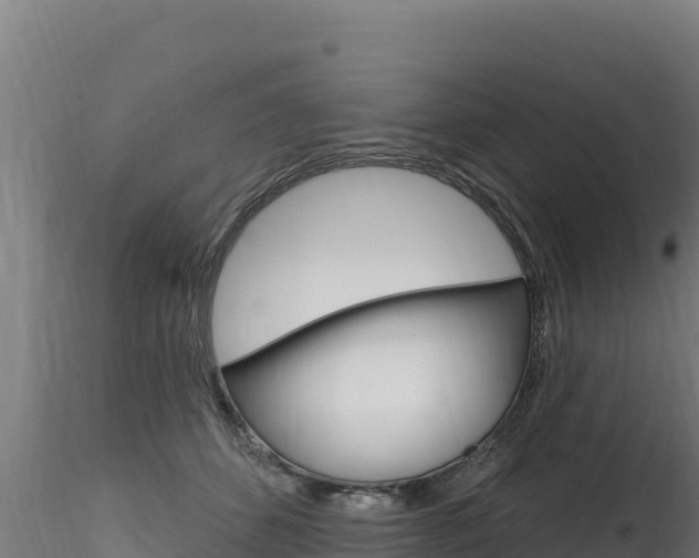 X0000116280512200911301044