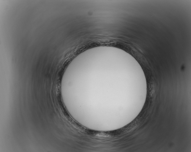 X0000116280515200911301044