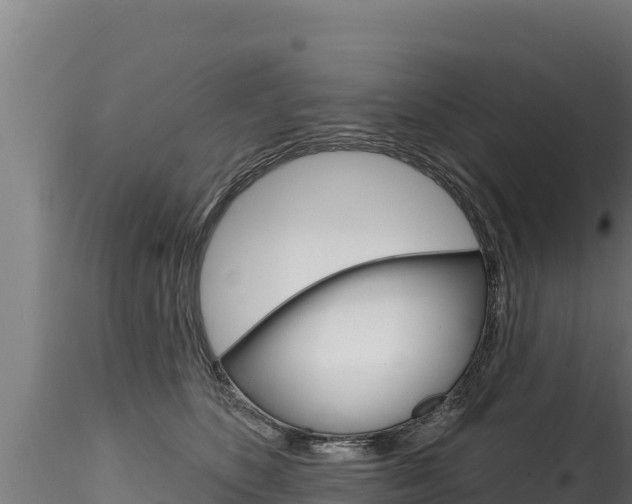 X0000116280516200911301044
