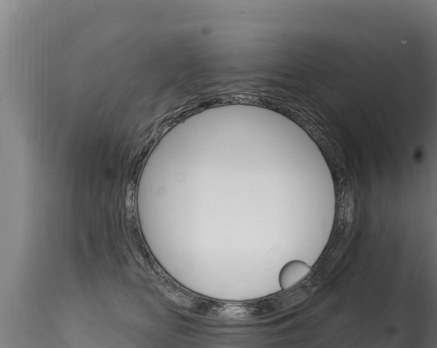 X0000116280518200911301044