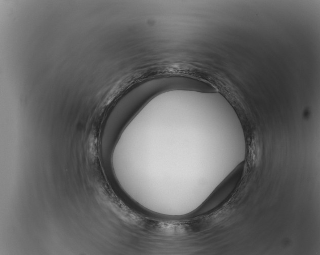 X0000116280520200911301044