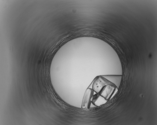 X0000116280521200911301044