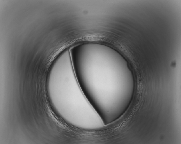 X0000116280530200911301043